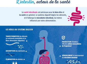 Cover infographie gut health 