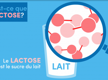 lactose  FR